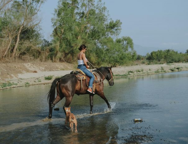 horse riding in the river