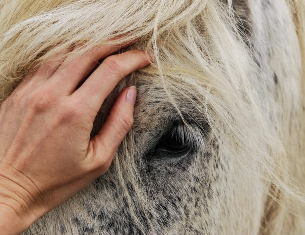 horse-riding-in-crete (9)