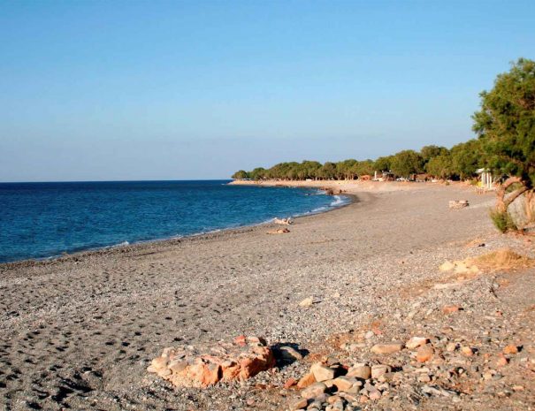 tavronitis beach