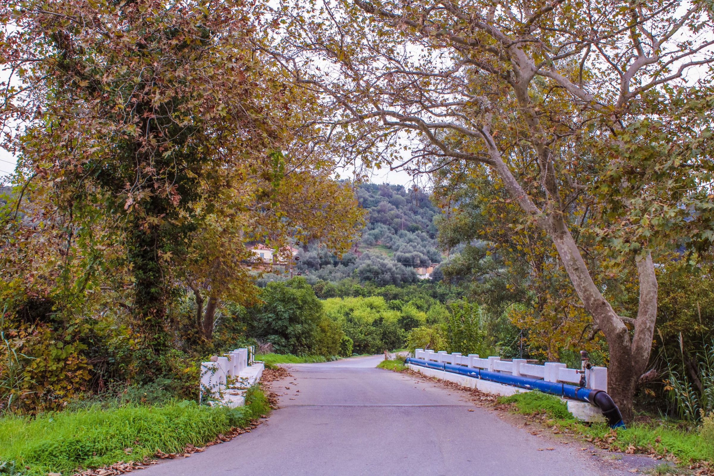 zounaki village crete